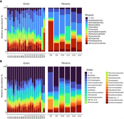 Unveiling soil bacterial ecosystems in andean citrus orchards of Santander, Colombia